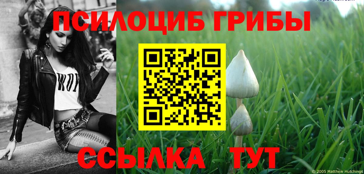 Галлюциногенные грибы прущие грибы  Вход с VPN  Мытищи  Псилоцибиновые грибы мухоморы 